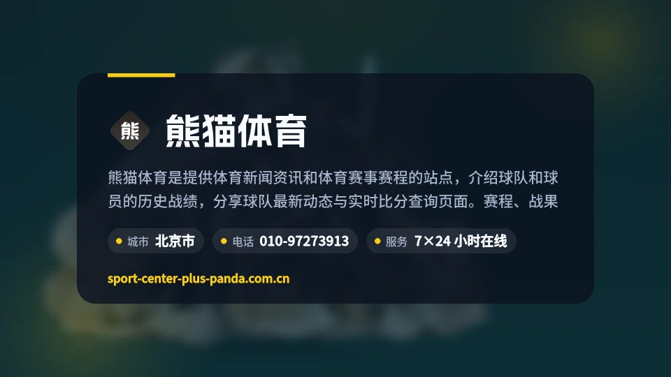 熊猫体育印象